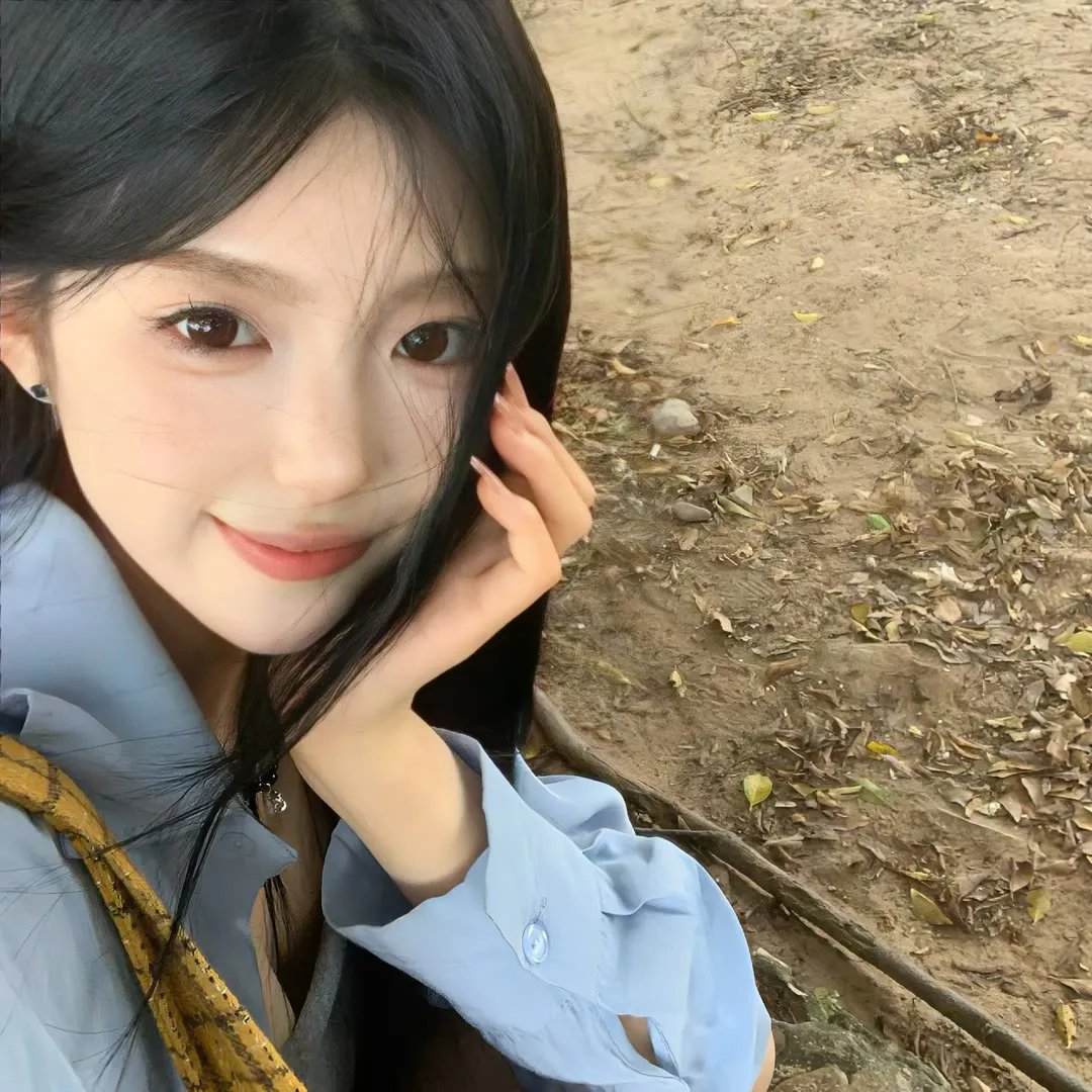 朵儿的战争